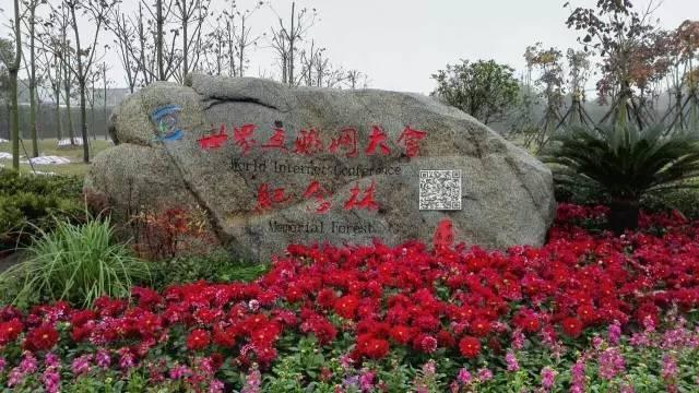 640.jpg